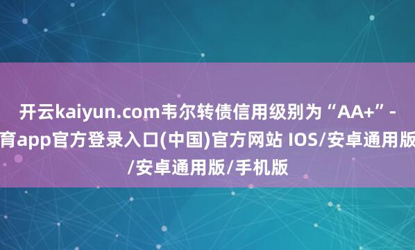 开云kaiyun.com韦尔转债信用级别为“AA+”-kai云体育app官方登录入口(中国)官方网站 IOS/安卓通用版/手机版
