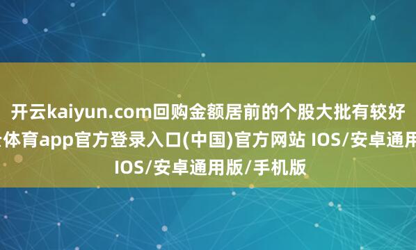 开云kaiyun.com回购金额居前的个股大批有较好发达-kai云体育app官方登录入口(中国)官方网站 IOS/安卓通用版/手机版