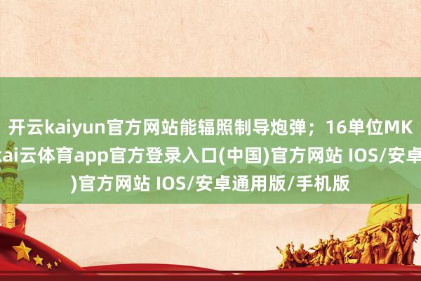开云kaiyun官方网站能辐照制导炮弹；16单位MK-41垂发系统-kai云体育app官方登录入口(中国)官方网站 IOS/安卓通用版/手机版