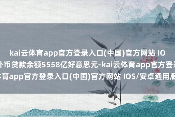 kai云体育app官方登录入口(中国)官方网站 IOS/安卓通用版/手机版外币贷款余额5558亿好意思元-kai云体育app官方登录入口(中国)官方网站 IOS/安卓通用版/手机版
