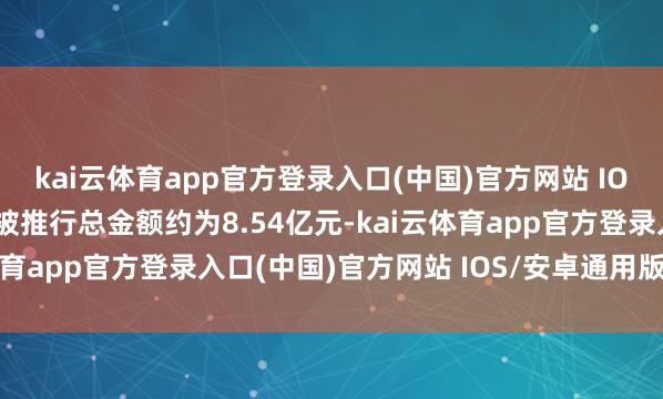 kai云体育app官方登录入口(中国)官方网站 IOS/安卓通用版/手机版被推行总金额约为8.54亿元-kai云体育app官方登录入口(中国)官方网站 IOS/安卓通用版/手机版