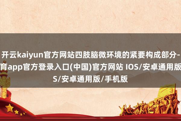 开云kaiyun官方网站四肢脑微环境的紧要构成部分-kai云体育app官方登录入口(中国)官方网站 IOS/安卓通用版/手机版
